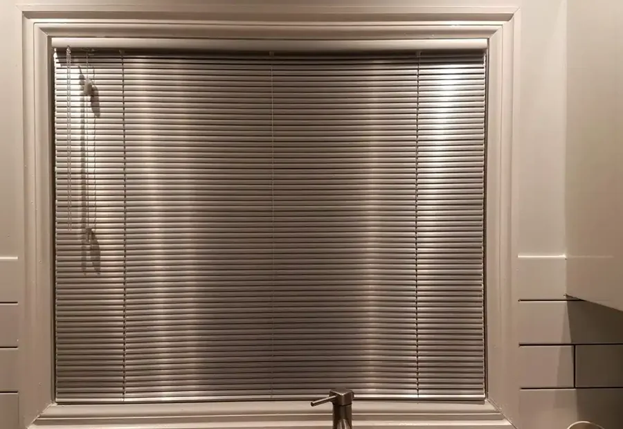 Aluminum window blinds
