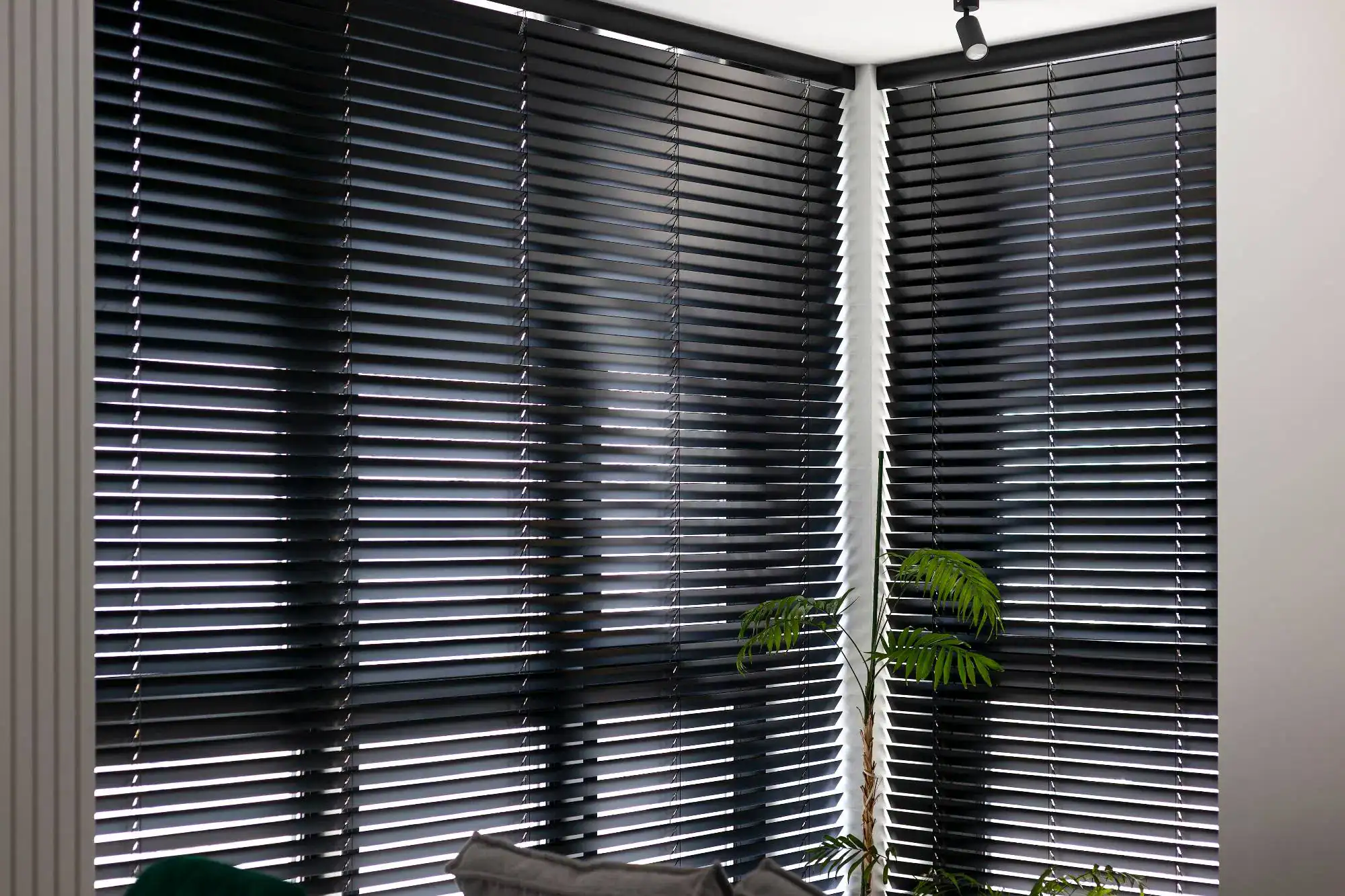 Black horizontal window blinds, a popular choice for windows treatments Miami-Dade County, cover two large corner windows in a bright room. Sunlight seeps through the slats, creating striped patterns near a green potted plant and gray sofa.