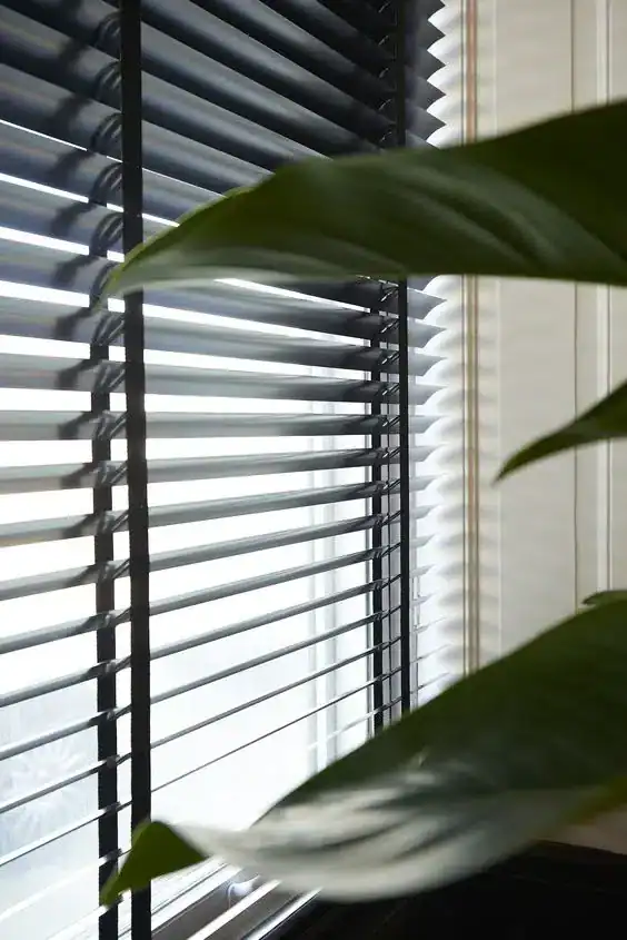 A close-up of a window with horizontal black blinds partially open, letting in soft light. In the foreground, green leaves of a plant are visible, slightly out of focus.