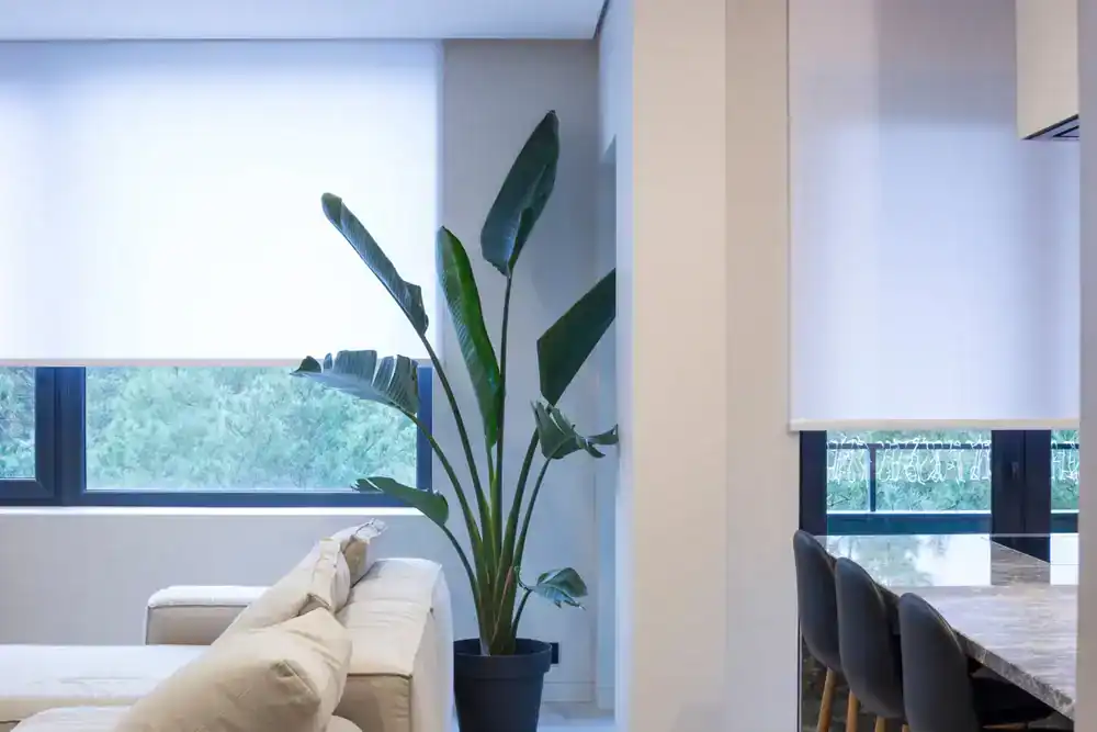 Stylish window blinds paired with a tropical plant inside, representing Miami Design Group's dedication to high-quality window treatments in the heart of Miami-Dade County