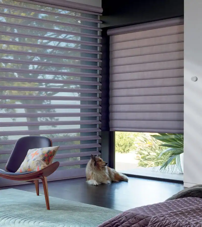 A dog lies on a wooden floor near large windows with sheer lavender blinds. A modern chair with a colorful cushion and a neatly made bed are also visible in the stylish, sunlit room.
