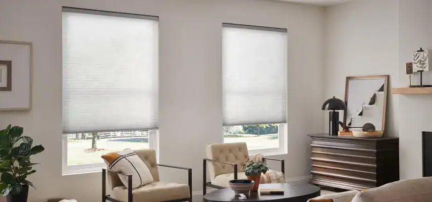 Cozy living room featuring two windows with roller shades and stylish decor.