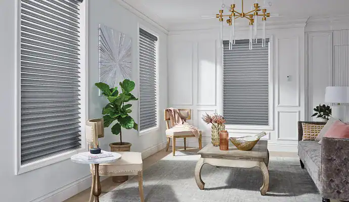 Living room with gray blinds, modern furniture, and elegant decor.